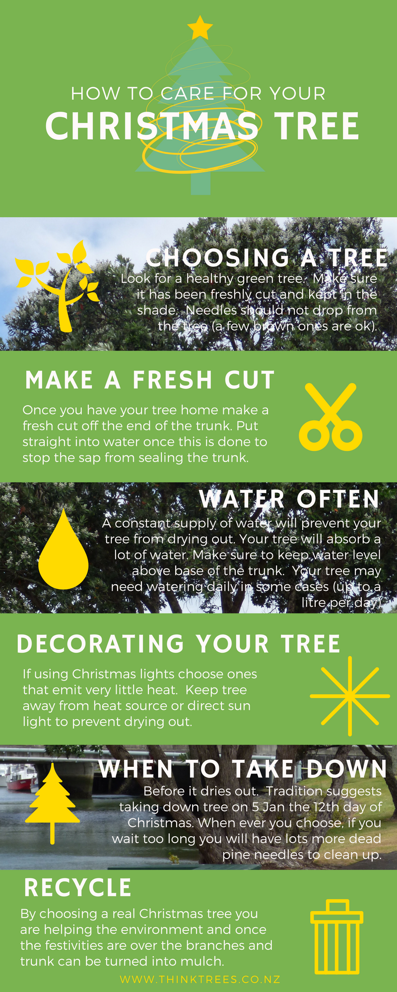 how-to-care-for-your-christmas-tree